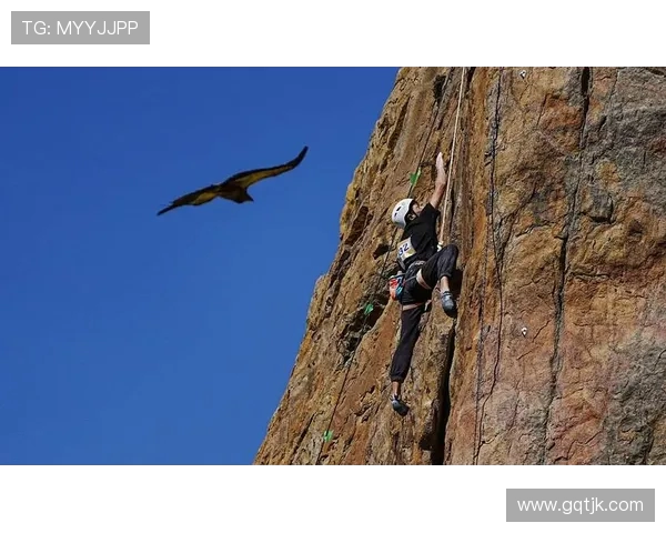 成都攀岩队以77分稳居攀岩联赛积分榜首位展现强大实力