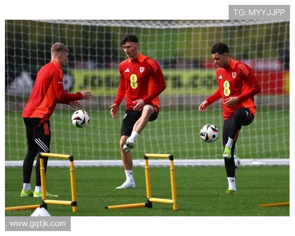 威尔士与美国足球对决全方位分析及赛前预测