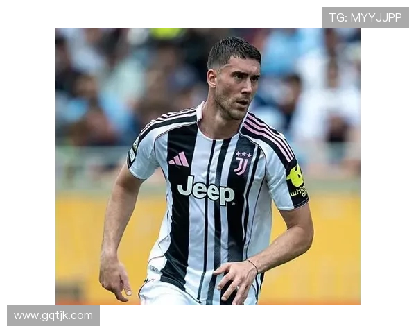 弗拉霍维奇：从天才前锋到意甲新星的成长之路与未来展望