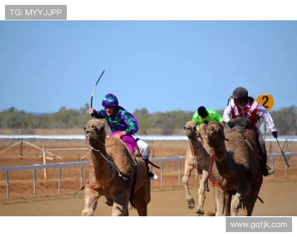 爱丁堡城与咸美顿的激烈对决谁能在这场比赛中脱颖而出